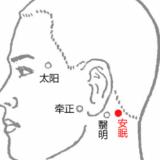 世界睡眠日丨好眠孕育新生，孕期科学助眠小锦囊来了！