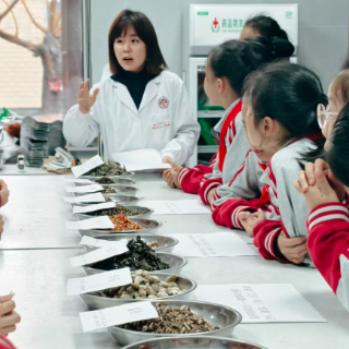 识本草、制香囊、敬老人，马王堆“雷小锋”沉浸式传承中医药文化