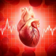 健康科普 | 警惕心源性猝死!一文读懂这些知识能救命