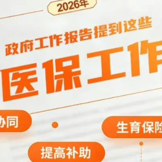 2026年政府工作报告提到这些医保工作