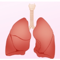 专家：持续干咳可能是肺纤维化信号 不可逆损伤需早干预