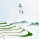 谷雨养生 | 雨生百谷祛湿忙，护肾防癌保安康
