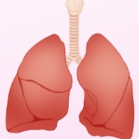 肺癌成我国女性第一大癌症 身体给出“警示”不要忽视