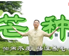 视频 | 二十四节气之芒种·芒而不疲 祛湿养气