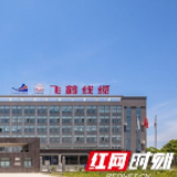 武汉二线全面复工 对5类战疫工作者推出厂家配送到家服务