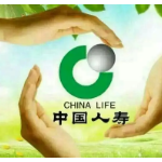 国寿寿险数据管理能力成熟度获高等级评价