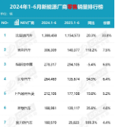 “数”说车市丨上半年新能源销量排行榜出炉，自主车企表现强势