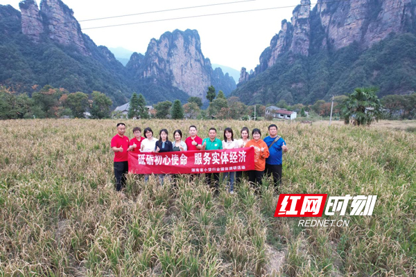 活动调研团走进田间地头，了解湖南省小贷行业服务三农，助力乡村振兴的做法与成效。