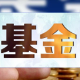 头部抢购 尾部滞销 新基金发行“二八分化”