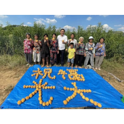 绘就乡村振兴美丽画卷  丰收果实给光大送祝福