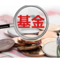 财政部：国家创业投资引导基金以差异化风控体系培育创新生态