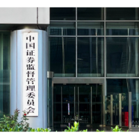 “零容忍”打击违法违规 更好保护中小投资者