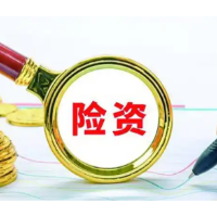 2026险资权益配置意愿升温 科技与高股息成“双主线”