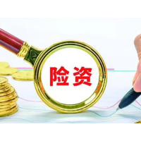 投资收益“赢很大”!2025年上市险企投资思路大曝光