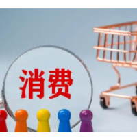 六大行2025年个贷结构生变: 消费贷增速领跑 汽车消费贷款成新增长点