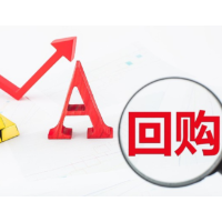 新“国九条”落地两周年：五万亿分红回购与两千亿IPO融资