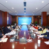 打造中国（湖南）对非经贸促进创新示范园，加快推进高桥国际化进程，再造“新高桥”