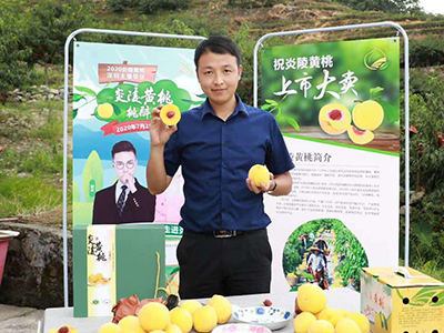 022 泛东文化在炎陵：县政协委员网络献计策.jpg