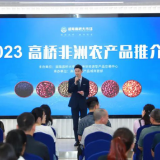 2023高桥非洲农产品推介会成功举办 助力非洲农产品销售体系建设