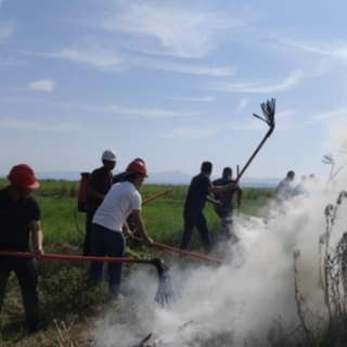 岳阳县：以练备战开展森林防灭火应急演练