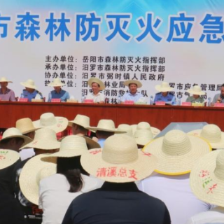 防范于未“燃” 汨罗市森林防灭火应急救援演练圆满完成