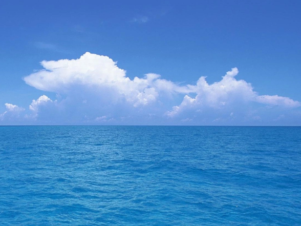 2025年海洋产业投融资路演（深圳站）活动成功举办