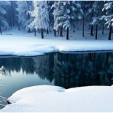 冬至如何进补？ 谷医堂中医专家提醒：盲目跟风不如科学“储蓄”健康