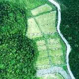 治山理水开新篇  百年老矿焕新颜——益阳市安化县渣滓溪锑钨矿生态修复优秀案例