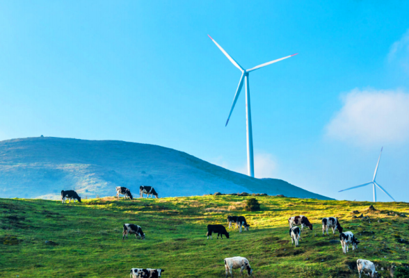 自然资源领域生态产品价值实现典型案例④丨制度赋能，产业增金 ——南山国家公园制度创新推动生态产品价值实现案例