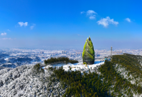 自然资源领域生态产品价值实现典型案例⑥丨组合供应出新招，竹海收益节节高 ——桃江县“桃花江竹海”自然资源资产组合供应推动生态产品价值实现案例