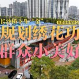 自然资源观察④丨长沙桥下生“金”:规划绣花功,群众小美好