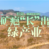 自然资源观察⑦丨桂阳：矿疤“长”出绿产业