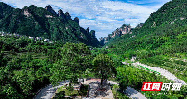 图片6.png 图片6.png