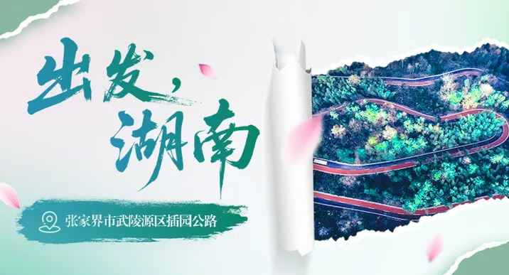 出发，湖南②｜沿着张家界武陵源插园公路，赴一场峰林间的生态诗意之约