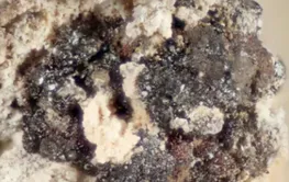 中美科学家发现新矿物刘氏钙锰矿