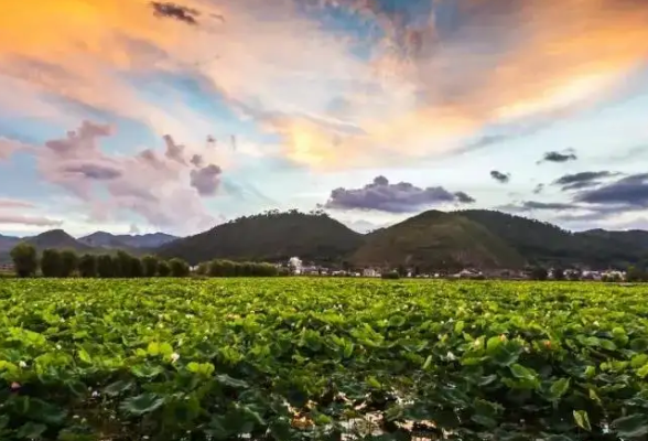 江苏发布首批乡村建设用地保障典型案例