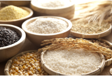 玉米 小麦 稻谷 大豆国内外粮食供求和价格形势