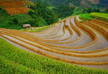 坚守耕地红线 确保粮食安全