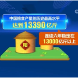 【在习近平新时代中国特色社会主义思想指引下】端牢14亿中国人的饭碗