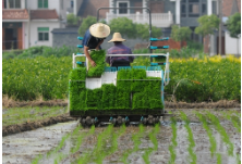 湖南益阳：科技助春耕 种地更轻松