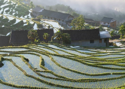 为保障粮食安全贡献“湖南力量”