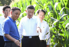 这件事为何成为总书记心中的“永恒课题”