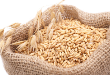 麦市供需并不缺粮，缘何麦价“涨”声不停