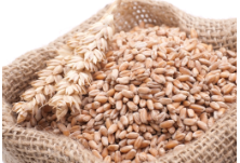 官方披露夏粮收购进度：主产区小麦、油菜籽累计收购同比减少