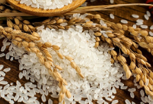 有的100斤稻谷只出30多斤精米！过度加工导致粮食损耗严重