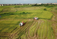 新华时评·食为政首：守住粮食安全的命根子