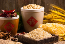 联合国粮农组织总干事：中国为稳定世界粮食生产作出贡献