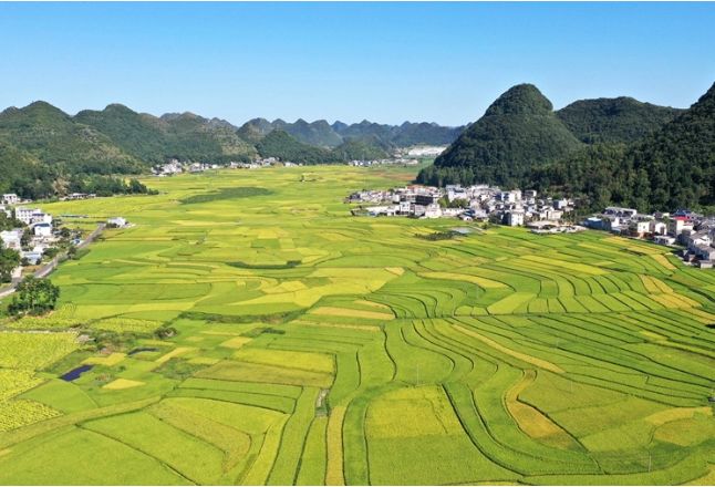 准确理解国家粮食安全产业带概念