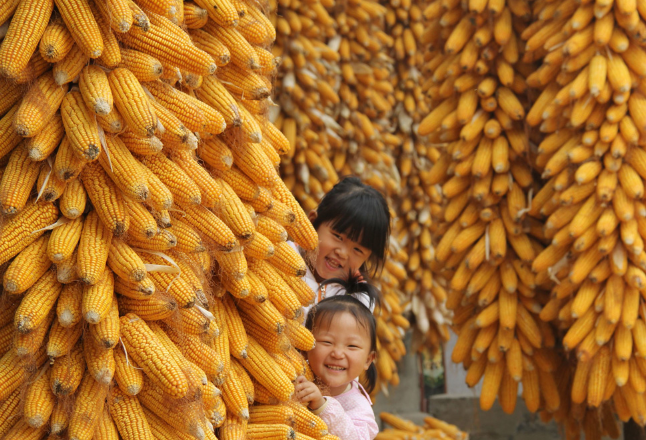 牢牢把住粮食安全主动权