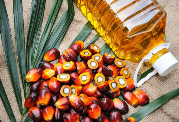 棕榈油期货国际化启航